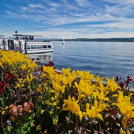 Historic Cozy Flat In Citycenter By Constance Apartman *