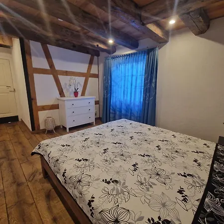 Apartman Historic Cozy Flat In Citycenter By Constance *