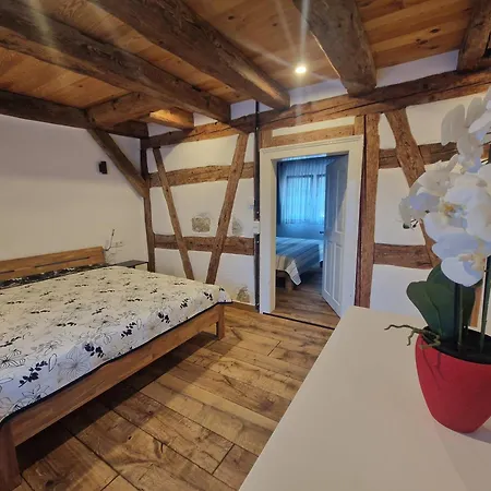 Apartment Historic Cozy Flat In Citycenter By Constance *